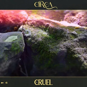 Cruel by Circa