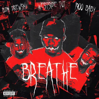 Breathe by Bdm Drewski