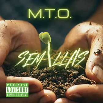 Semillas by M.T.O.