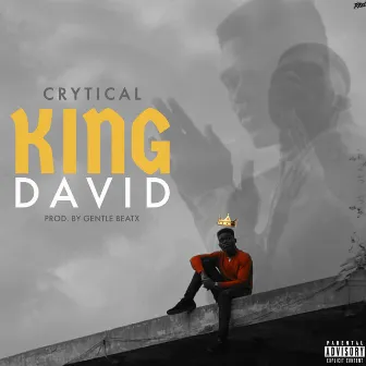 King David by Crytical