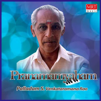 Pranamamyaham (Instrumental) by Palladam S Venkataramana Rao