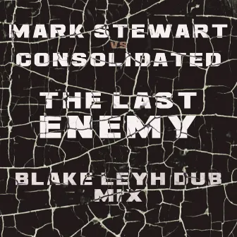 The Last Enemy (Blake Leyh Dub Mix) by Blake Leyh