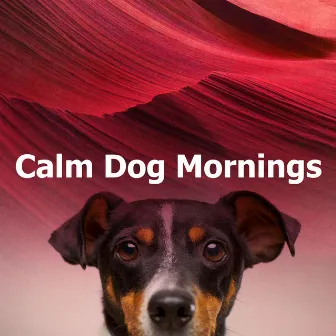 Calm Dog Mornings by Calm Dog Music