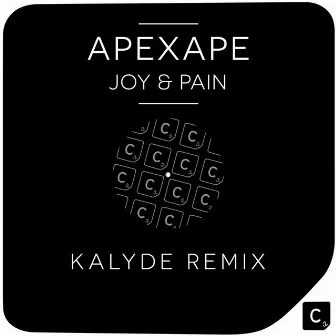 Joy & Pain (Kalyde Remix) by Apexape