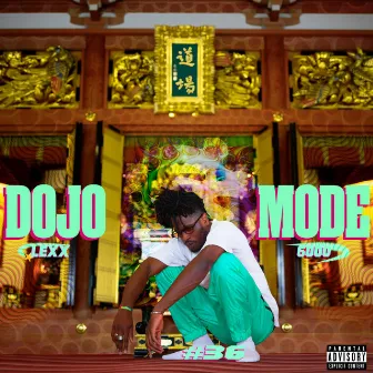 Dojo Mode by Lexx6000