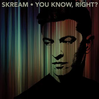 You Know, Right? by Skream