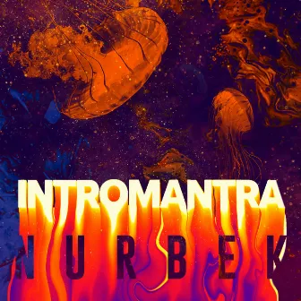 Intromantra by Nurbek