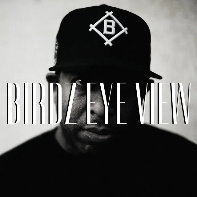 Birdz Eye View