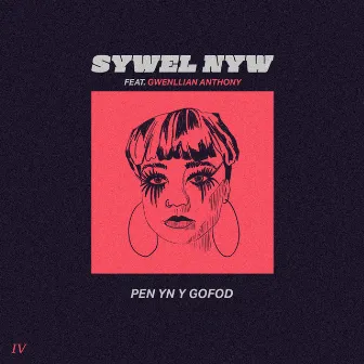 Pen Yn Y Gofod by Sywel Nyw