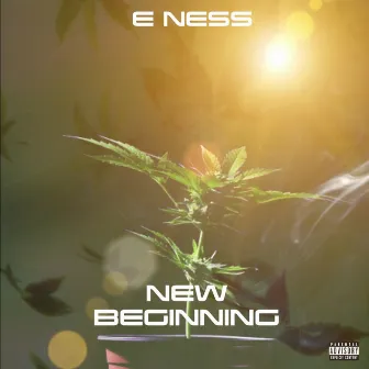 New Beginning by E Ness