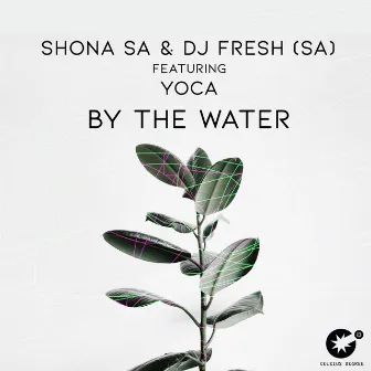 By The Water by Shona SA