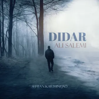 Didar by Ali Salemi