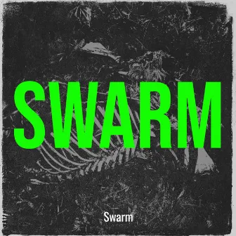 Swarm by Swarm