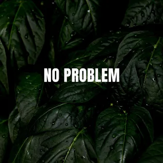 No Problem by Daydream