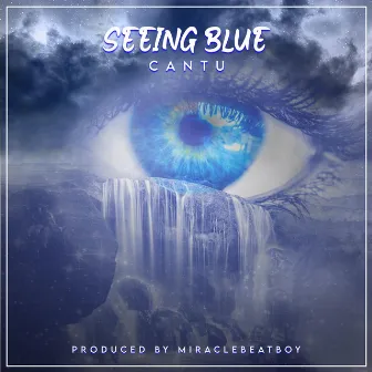 Seeing Blue by Cantu