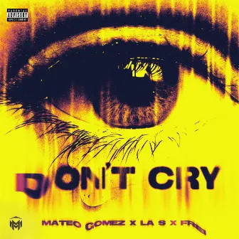 Don't Cry by Frei