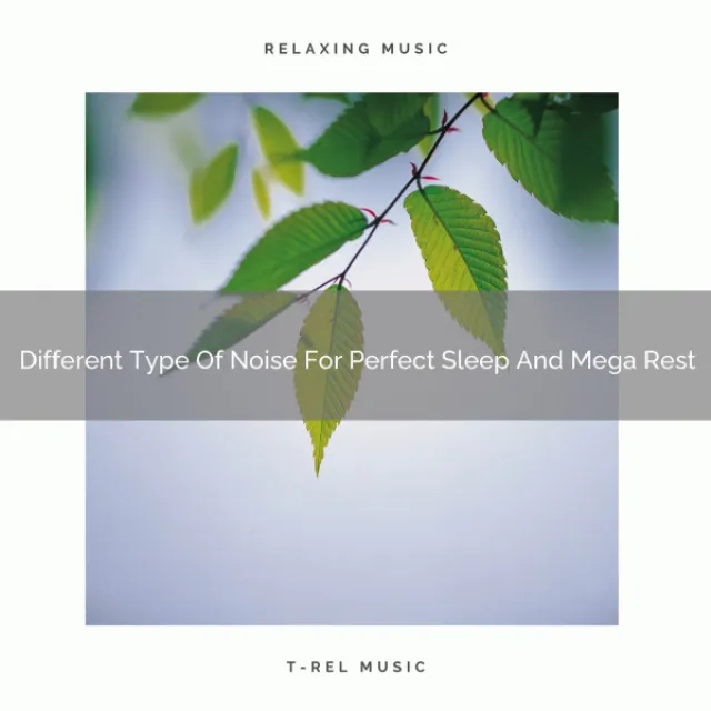 Different Type Of Noise For Perfect Sleep And Mega Rest