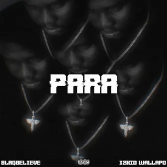 Para by Blaqbelieve