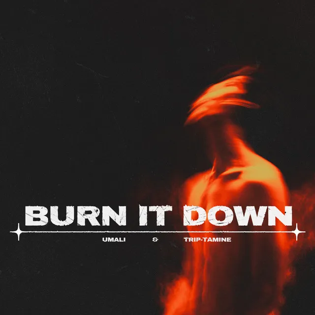 Burn It Down