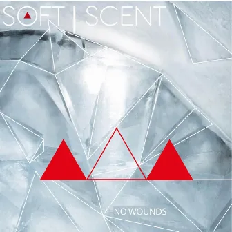 No Wounds by Soft Scent