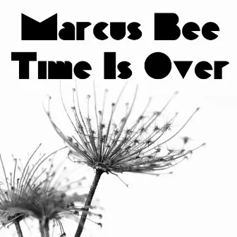 Time Is Over by Marcus Bee