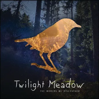 The Worlds We Discovered by Twilight Meadow