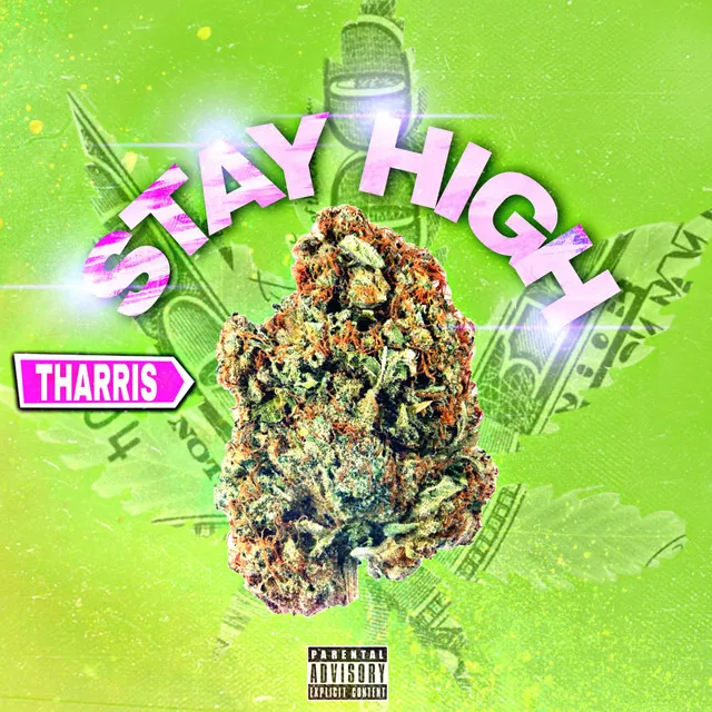 Stay High