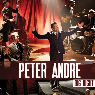 Big Night by Peter Andre