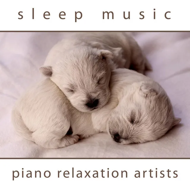 Sleep Music