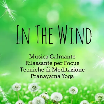 In The Wind - Musica Calmante Rilassante per Focus Tecniche di Meditazione Pranayama Yoga con Suoni Meditativi Strumentali Binaurali by Hawaiian Spa Music Relaxation Meditation Ukulele Club