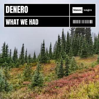 What We Had by Denero