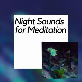 Night Sounds for Meditation by Forest at Night Sounds