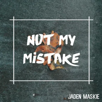 Not My Mistake by Jaden Maskie