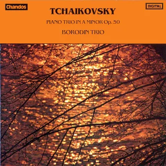 Tchaikovsky: Piano Trio in A minor, Op. 50 by Borodin Trio