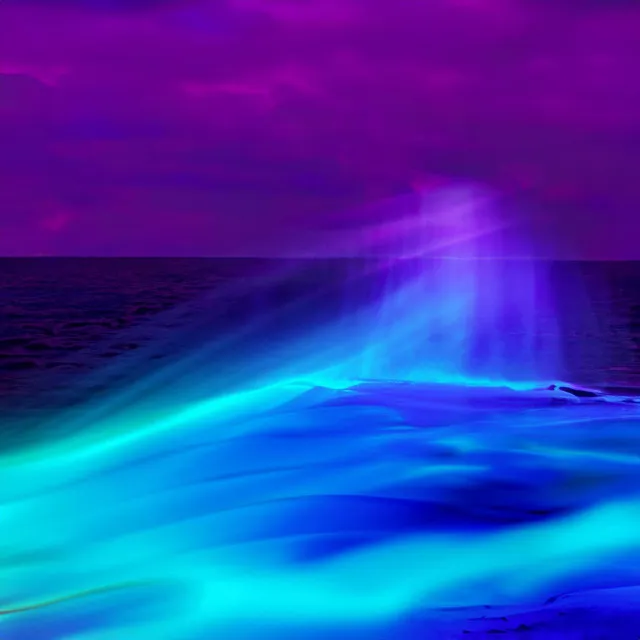 Wave Wellness: Rejuvenating with Vibrational Waves