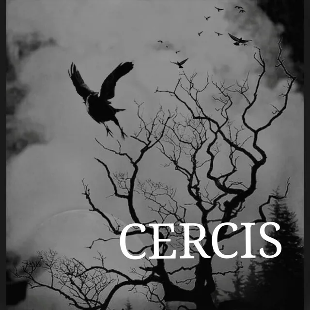 CERCIS