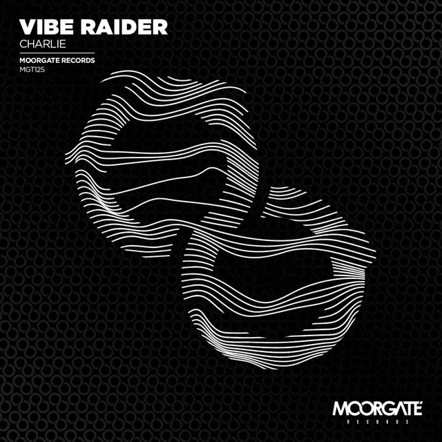 Vibe Raider