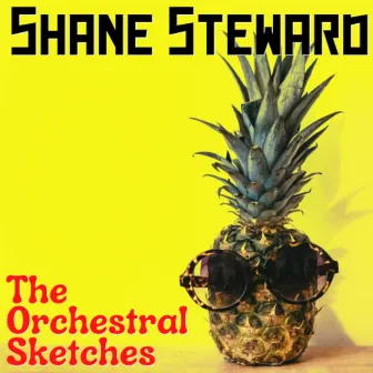 The Orchestral Sketches, Vol. 1 by Shane Steward