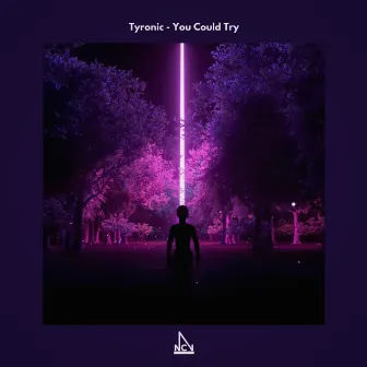 You Could Try by Tyronic