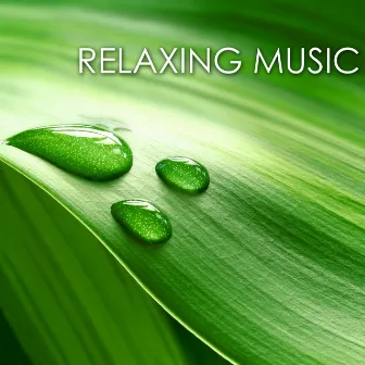 Relaxing Music - Relieve Stress with Relaxation, Sleep Well Anxiety Free, Keep Calm Meditate and Practice Yoga with White Noise & Sounds Background Ambience by Unknown Artist