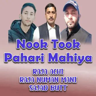 Nook Took Pahari Mahiya by 