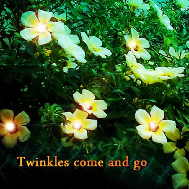 Twinkles Come and Go