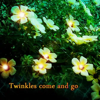 Twinkles Come and Go by Hoodub