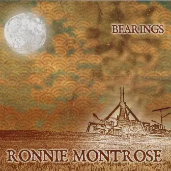 Bearings by Ronnie Montrose