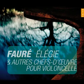 Faure: Élégie et autres chefs-d'oeuvres pour violoncelle by Anne Gastinel