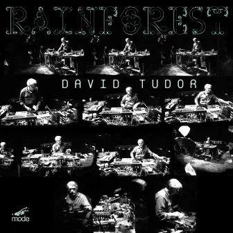 David Tudor: Rainforest (Versions 1 & 4) by David Tudor