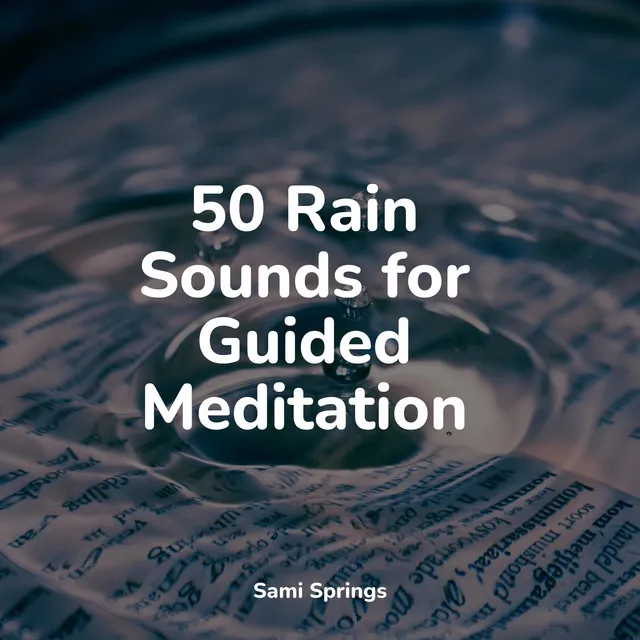 50 Rain Sounds for Guided Meditation