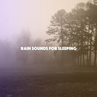 Rain Sounds For Sleeping by Nature Sound Sleep