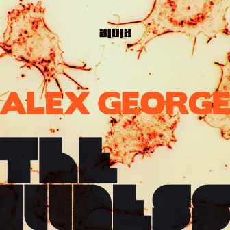 The Illness by Alex George