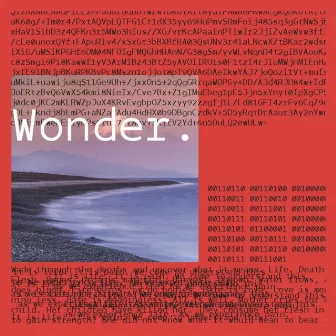 Wonder. by T